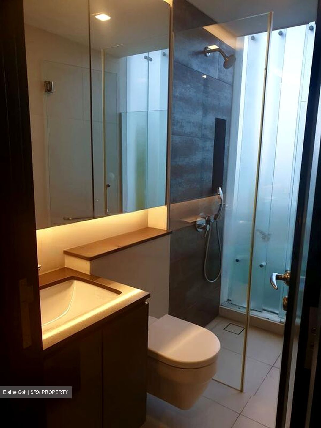 Oei Tiong Ham Park Residences (D10), Apartment #431346371